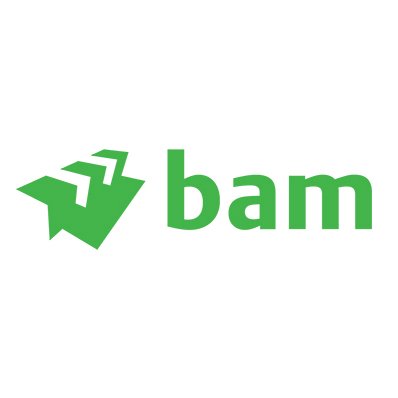 BAM Telecom